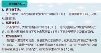 揭秘小黄燕窝：热门梗、食用指南与全面知识点梳理