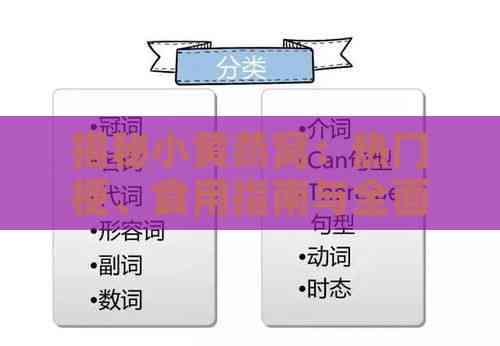 揭秘小黄燕窝：热门梗、食用指南与全面知识点梳理