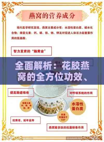 全面解析：花胶燕窝的全方位功效、作用与适用人群指南