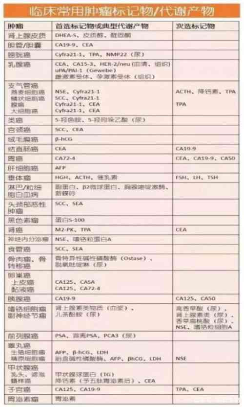 深入了解海燕窝：全方位解析其功效、作用与食用指南