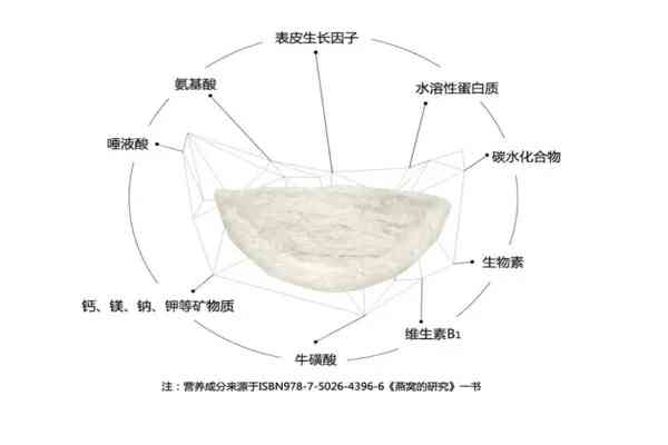 揭秘燕窝中的糖类成分：探寻滋养背后的甘甜奥秘