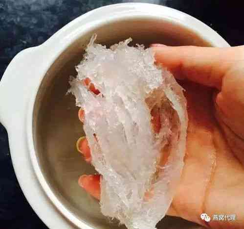 品味对比：雪燕与燕窝口感差异解析