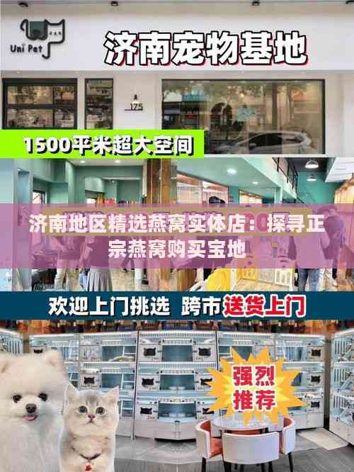 济南地区精选燕窝实体店：探寻正宗燕窝购买宝地