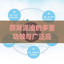 燕窝泥油的多重功效与广泛应用：全面解析其对健康与美容的益处