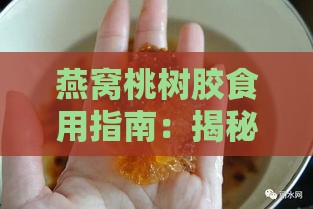 燕窝桃树胶食用指南：揭秘树上珍品的美味吃法