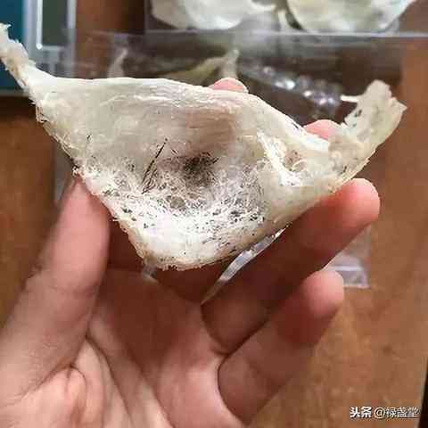 毛燕和燕窝哪种好：口感与营养价值对比