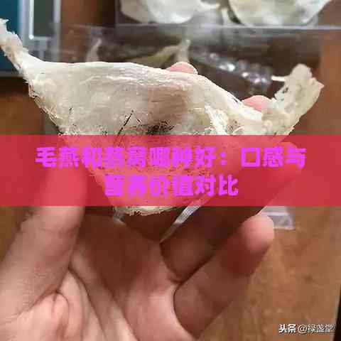 毛燕和燕窝哪种好：口感与营养价值对比