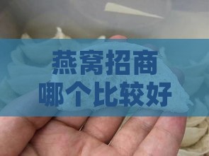 燕窝招商哪个比较好