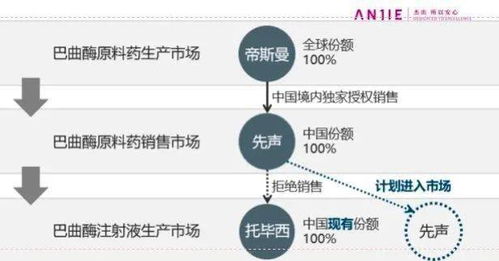 燕窝产业：深入解析燕窝产品经营范畴与多元化业务布局