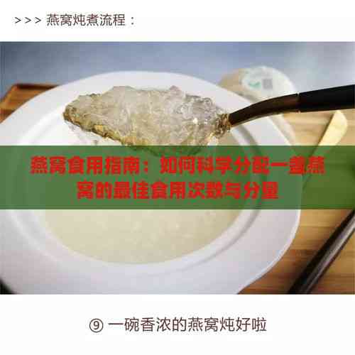 燕窝食用指南：如何科学分配一盏燕窝的更佳食用次数与分量