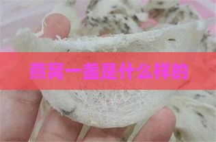 燕窝一盏是什么样的