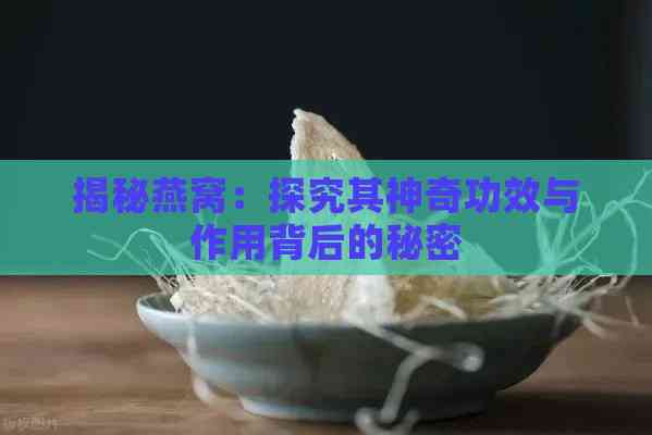 揭秘燕窝：探究其神奇功效与作用背后的秘密