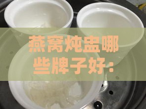 燕窝炖盅哪些牌子好：推荐高品质炖盅精选