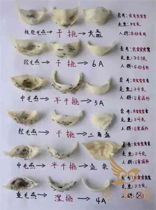 详解燕窝丝全攻略：配料清单、制作步骤与技巧汇总