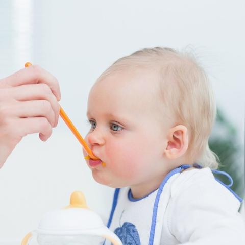 燕窝含有蛋白质多吗及适宜食用情况探讨