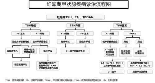 详尽指南：燕窝挑毛工具与技巧全解析，全面解决挑毛过程中的各类疑问