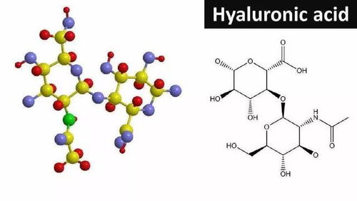 燕窝中的成份有哪些种类、作用及具体成分详解