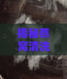 揭秘燕窝清洗：不同洗毛工艺类型探究与比较