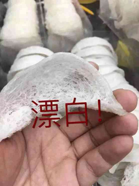 揭秘燕窝清洗：不同洗毛工艺类型探究与比较