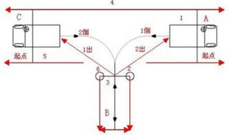 如何泡发燕窝张公子：详尽步骤与技巧解析