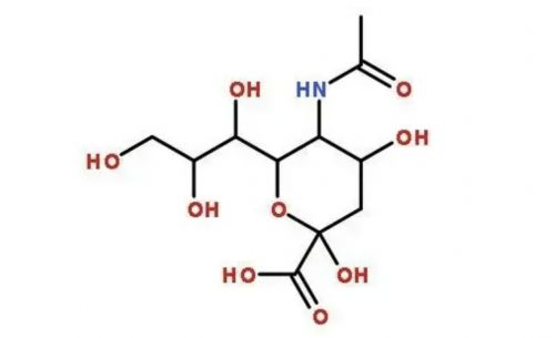 燕窝酸的成分有哪些种类：详细解析燕窝酸的成分及其作用