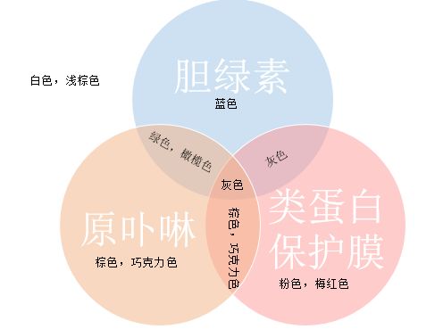 深度解析：燕窝与花胶的营养价值对比及适用人群指南