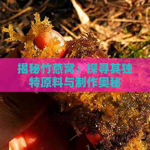 揭秘竹燕窝：探寻其独特原料与制作奥秘