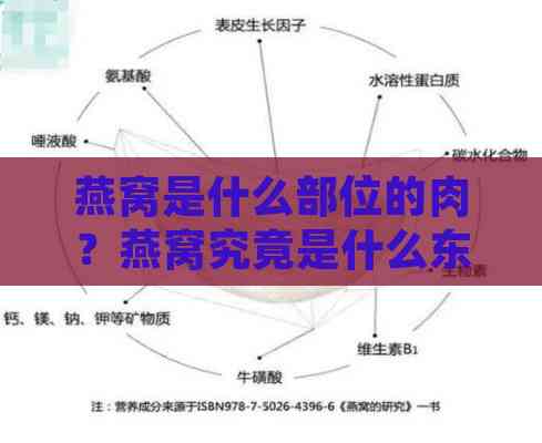 燕窝是什么部位的肉？燕窝究竟是什么东西，长得什么样？