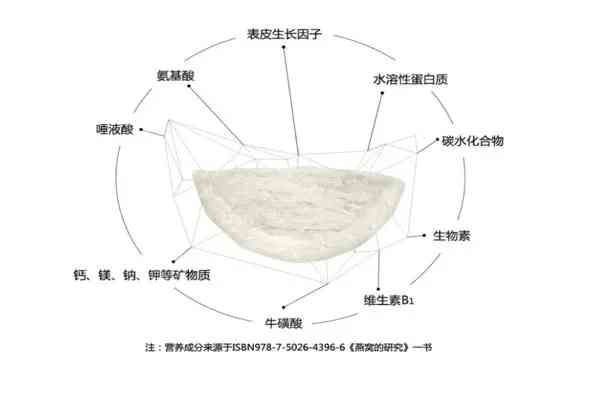 燕窝指的是哪个部位