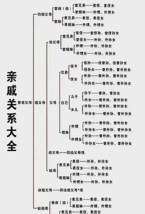 燕窝的别称及常见称呼一览：探索燕窝的各种名称与相关知识