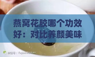 燕窝花胶哪个功效好：对比养颜美味与实用效果