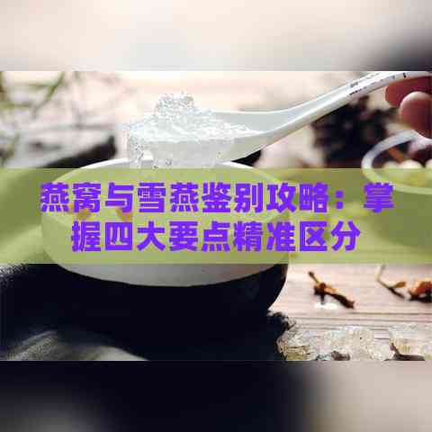 燕窝与雪燕鉴别攻略：掌握四大要点精准区分