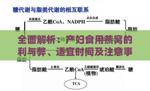 全面解析：产妇食用燕窝的利与弊、适宜时间及注意事项