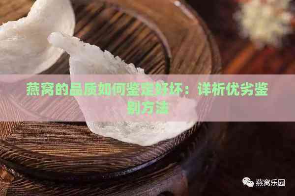 燕窝的品质如何鉴定好坏：详析优劣鉴别方法