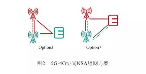 燕窝的缺点：优劣势分析及危害性探讨