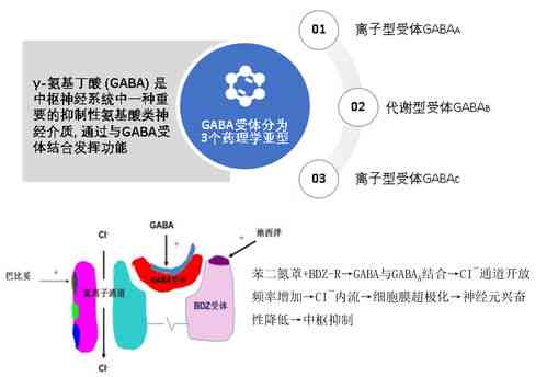 探究喜之源胶囊的功效与作用原理