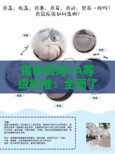 揭秘燕窝6A等级标准：全面了解燕窝品质与挑选技巧