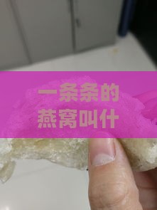 一条条的燕窝叫什么及其来源与品质特点