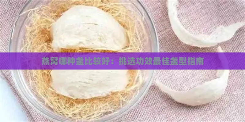 燕窝哪种盏比较好：挑选功效更佳盏型指南