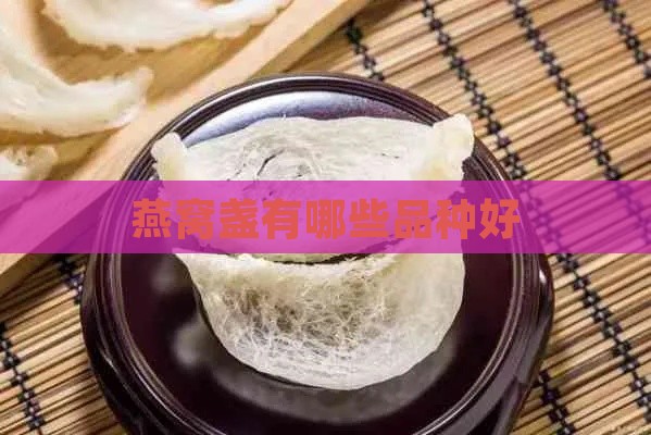 燕窝盏有哪些品种好