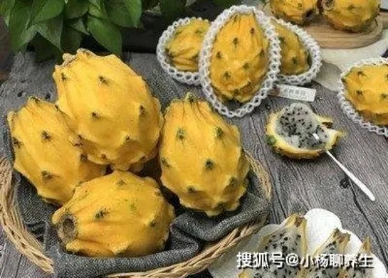 探秘珍稀美味：燕窝果的独特形态与魅力