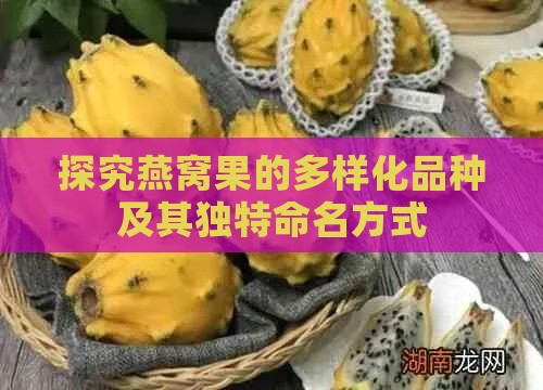 探究燕窝果的多样化品种及其独特命名方式