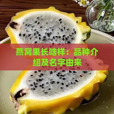 燕窝果长啥样：品种介绍及名字由来