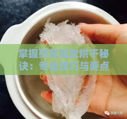 掌握燕窝高效烘干秘诀：专业技巧与要点解析