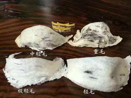 掌握燕窝高效烘干秘诀：专业技巧与要点解析