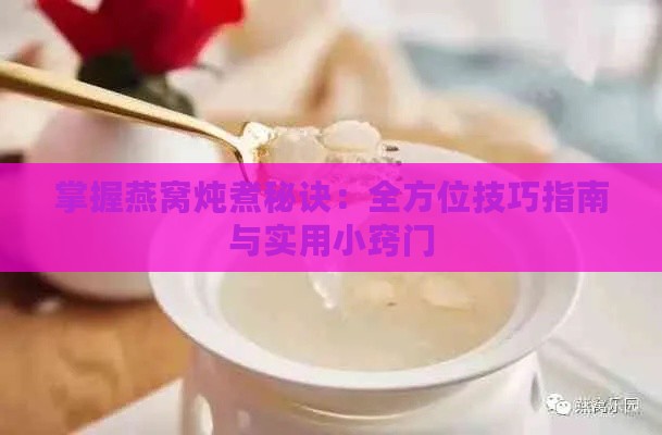 掌握燕窝炖煮秘诀：全方位技巧指南与实用小窍门