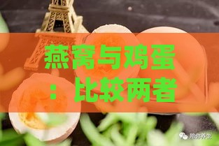 燕窝与鸡蛋：比较两者的气血滋补效果与营养价值