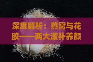 深度解析：燕窝与花胶——两大滋补养颜产品的成分、功效与选择指南