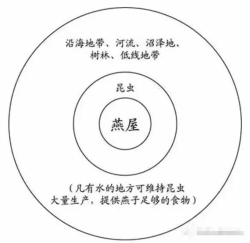 全面解析：马来西亚燕窝优质产地及选购指南