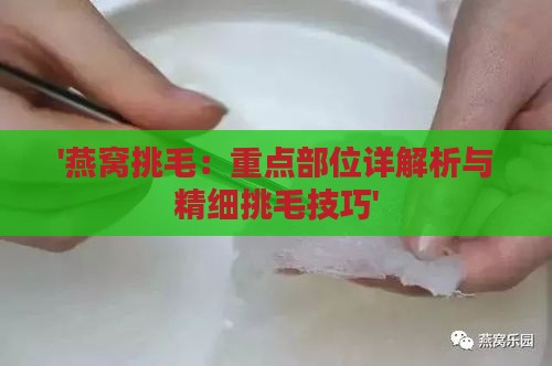 '燕窝挑毛：重点部位详解析与精细挑毛技巧'